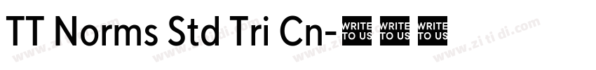 TT Norms Std Tri Cn字体转换